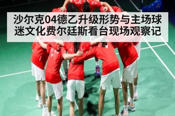 沙尔克04德乙升级形势与主场球迷文化费尔廷斯看台现场观察记